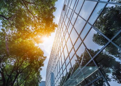 An office building with a tree next to it